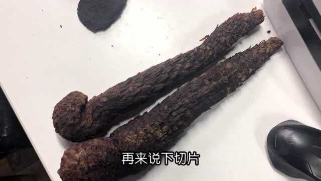 男性养生常备肉苁蓉 好坏区分原来如此简单