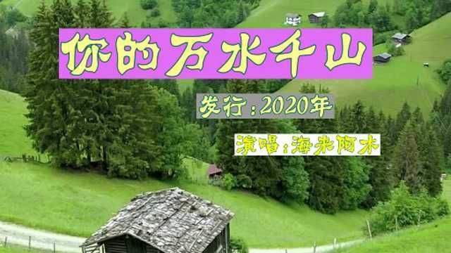 伤感流行音乐《你的万水千山》