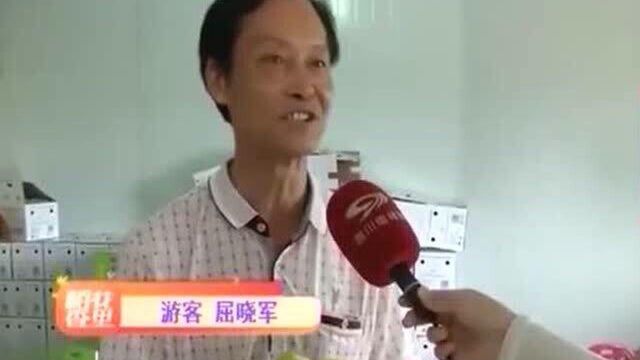 按照绿宝石梨标准综合体种植的宝石梨 口感能和库尔勒香梨媲美