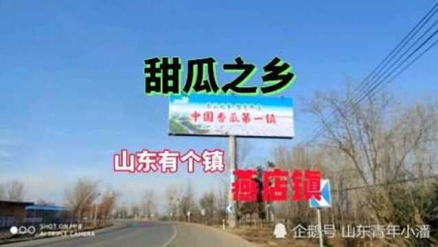 山东有个镇“燕店镇”中国甜瓜之乡,实拍中国甜瓜第一镇.