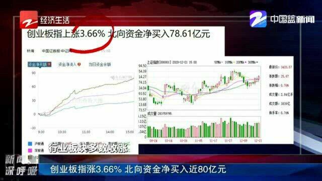 创业板指涨3.66% 北向资金净买入近80亿元