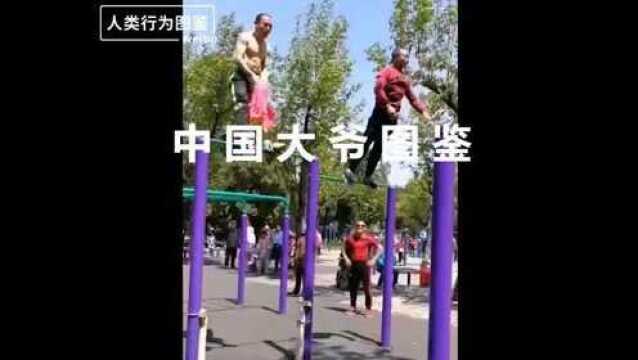 中国大爷图鉴