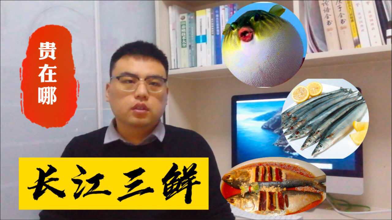 野生长江三鲜:河豚、鲥鱼、刀鱼,最高5000一斤,实现人工养殖了吗?