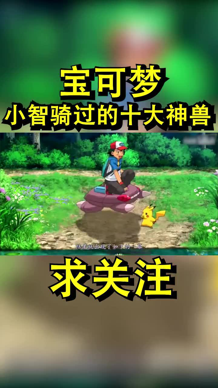 神奇宝贝之小智小智骑过的神兽
