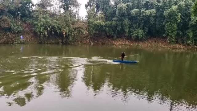 没见过这么倒霉的鸭子!竟然被这么多鱼钩给钩住了,死的也太惨了!