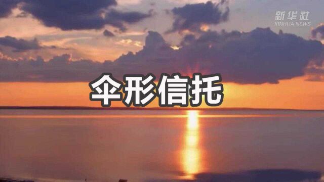 财经小贴士——伞形信托