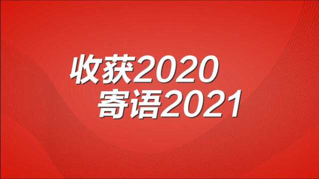 收获2020 寄语2021