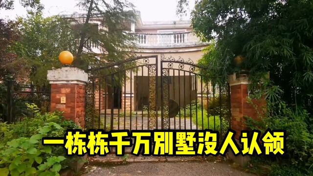 小伙闯入长沙无人别墅,一栋栋千万别墅无人认领,主人都去哪了?