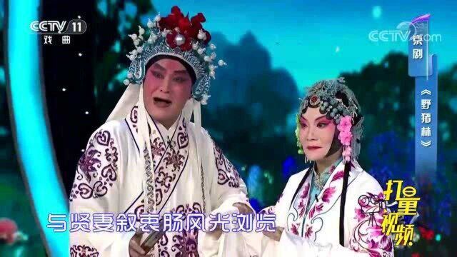 刘华龙、冯丽萍演绎京剧《野猪林》,小腔小调节奏真好