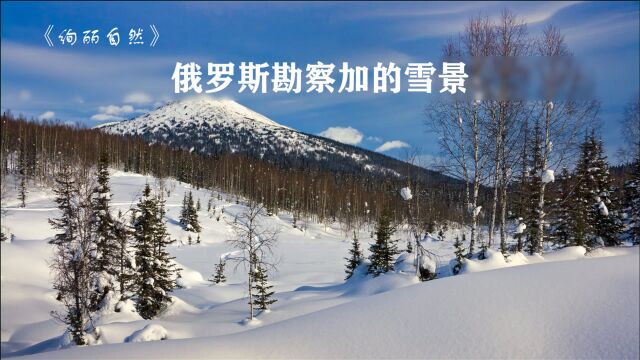 位于俄罗斯勘察加的雪谷,渺万里层云,千山暮雪