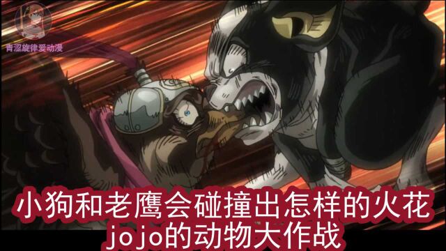 jojo星尘斗士埃及篇11:小狗 VS 老鹰