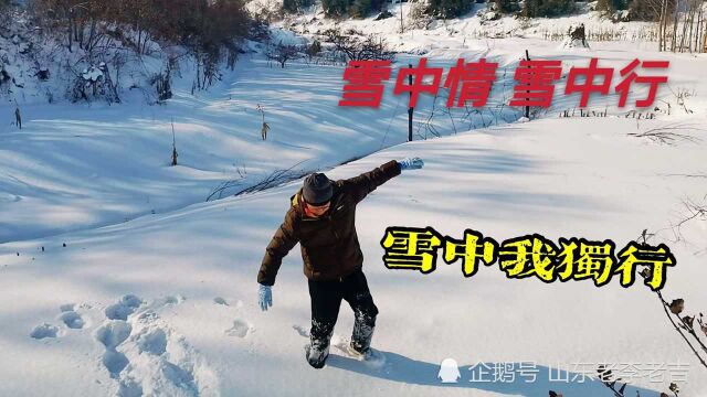 寒风潇潇飞雪飘零长路漫漫踏歌而行,往事如烟云,雪中我独行