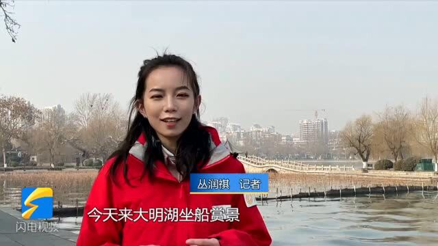 Vlog丨白鹭、游船、小猫咪...感受冬日大明湖别样韵味