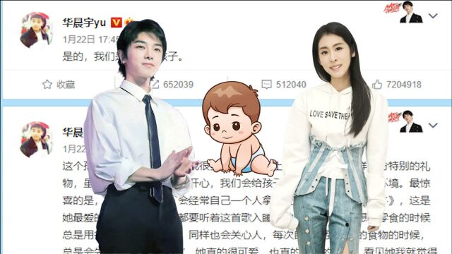 动画 华晨宇和张碧晨有孩子了 非婚生子女申请随父落户需提供亲子鉴定证明