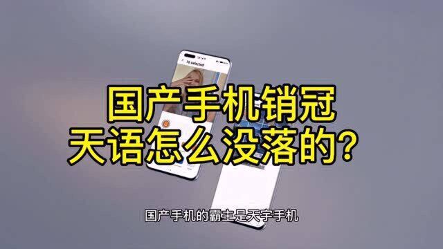 国产手机销冠:天语怎么没落的?