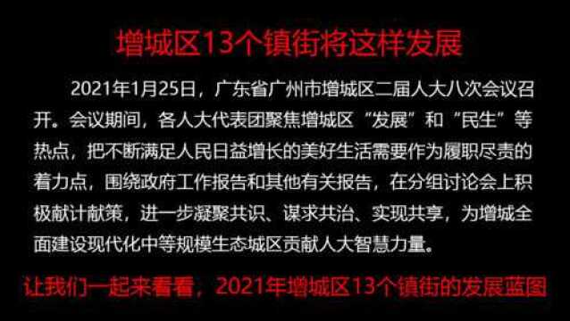 2021年增城区13个镇街的发展蓝图 全面建设现代化中等规模生态城区