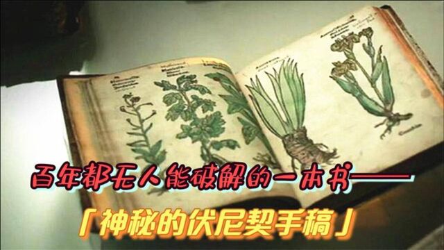 1912年,美国古董商购得一部手稿,其内容非常诡异,至今无人能解