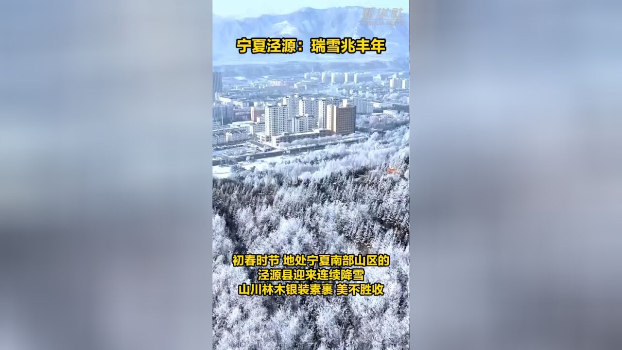 宁夏泾源:瑞雪兆丰年