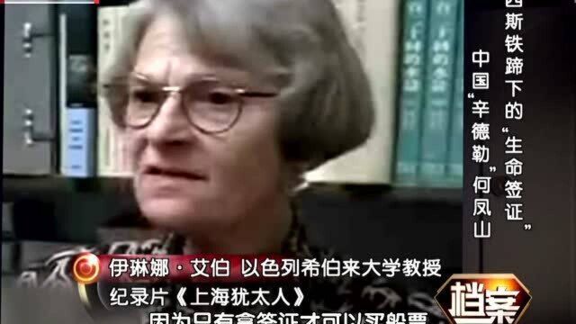 纳粹士兵傲慢要抓人,何凤山掏出自己身份证明,纳粹士兵乖乖放人