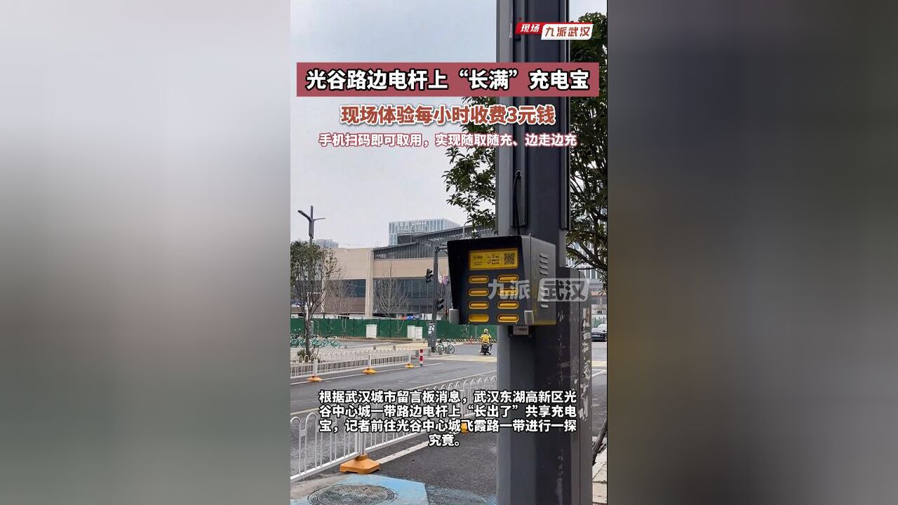 光谷路边电杆上“长满”充电宝,手机扫码即可取用,实现随取随充、边走边充