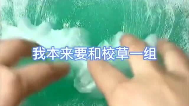 本想跟校草一组结果入了校霸怀,绿茶妹妹:这一耳光希望你长记性