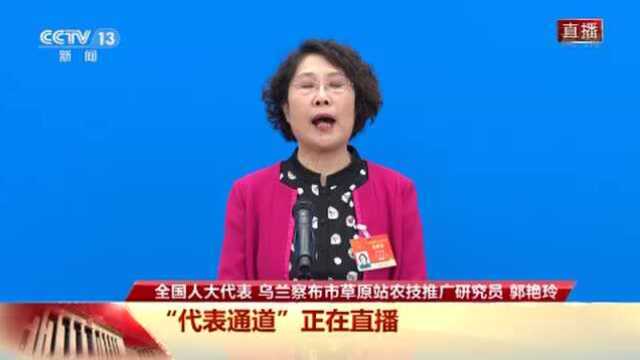 代表通道丨郭艳玲:种子是农业的命根子