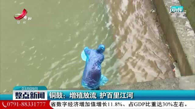 铜鼓:增殖放流 护百里江河