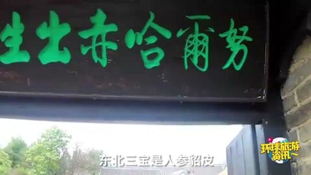 “东北三大怪”东北三个奇特的习俗,你知道几个?