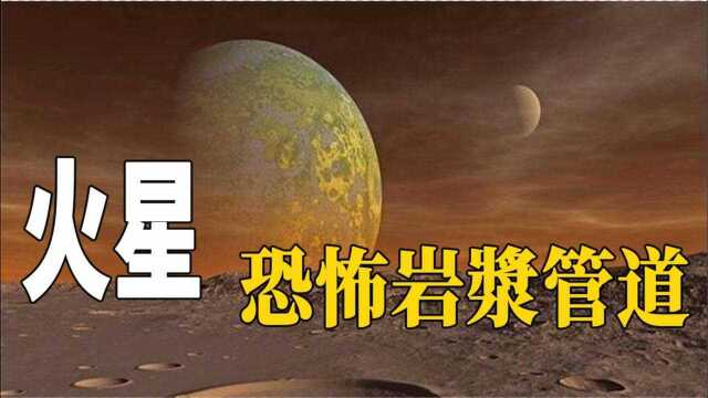 火星没有生命迹象?因为它们都在这个地方,难怪毅力号都找不到