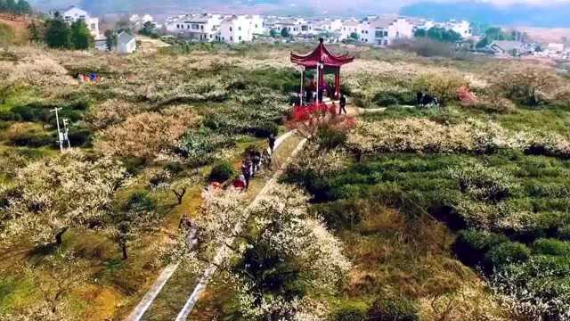 【视频】30幅优质地引百家知名房企冒雨前来 溧水打造百万人口新城底气足