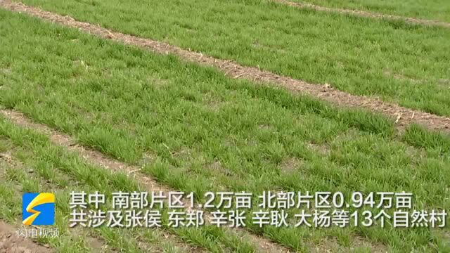 48秒丨滨州博兴:扎实推进高标准农田建设 助力粮食稳产增收