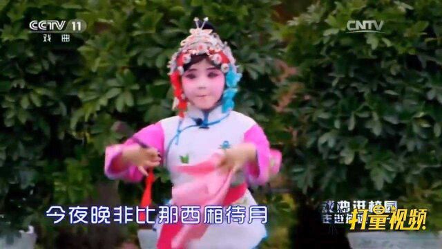 刘子瑜演绎京剧《花田错》,唱腔甜润明亮,扮相超俊俏