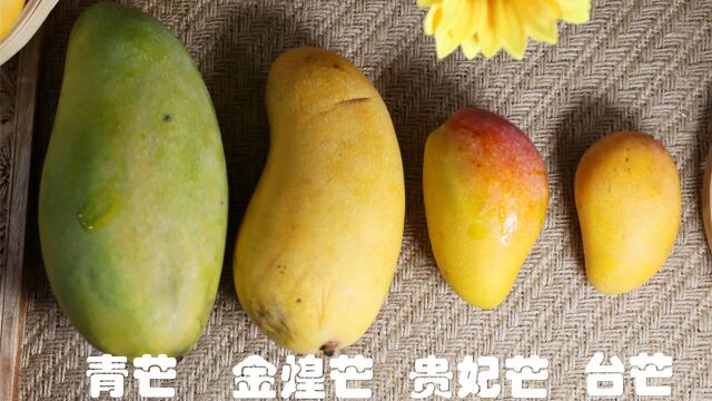 春天吃芒果,青芒、金煌芒、台芒、贵妃芒哪个值得买?差别可大了