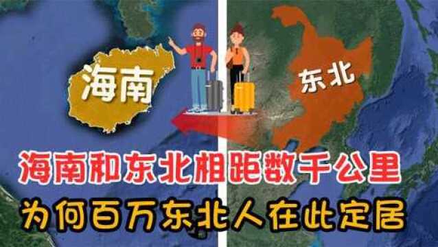 海南和东北相距数千公里,却有近百万东北人在此定居,这是为何?