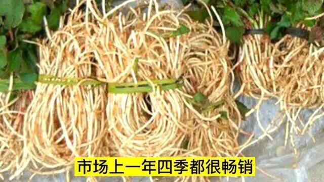 在农村种这三类野菜不愁销路,你知道吗,不知道就来了解一下吧