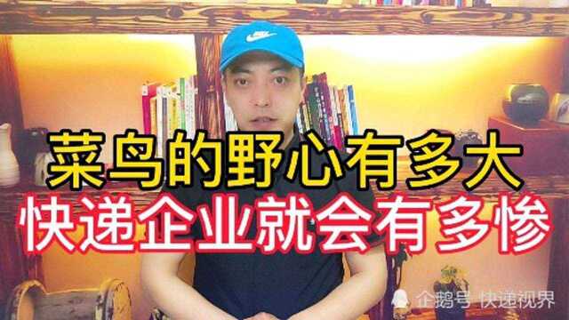 菜鸟驿站的野心是获取更多的商业价值,但这些商业价值却与快递企业毫无关系