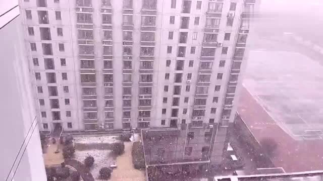 淮南八公山:1月26日午间风雪紧