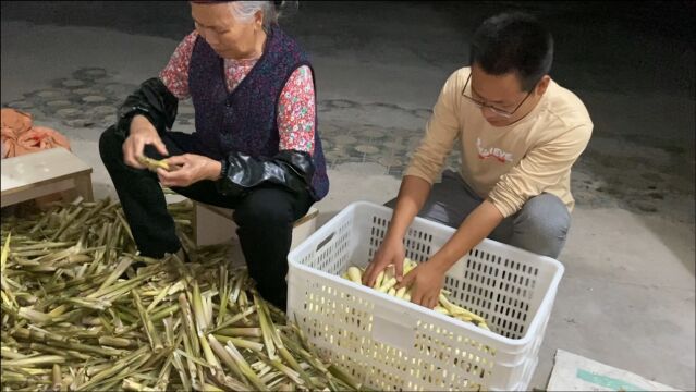 新鲜竹笋不好保存?试试用这个方法,放上一年都不会坏