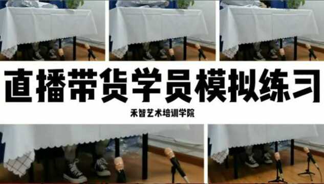 丽水网红直播培训学习周期,来宾直播带货培训去哪里学习比较好,泰州电商直播培训课程专业落地