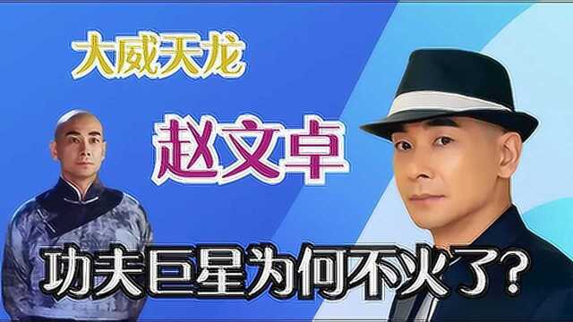 赵文卓:被成龙称为接班人,名气不输李连杰,如今却被批吃老本