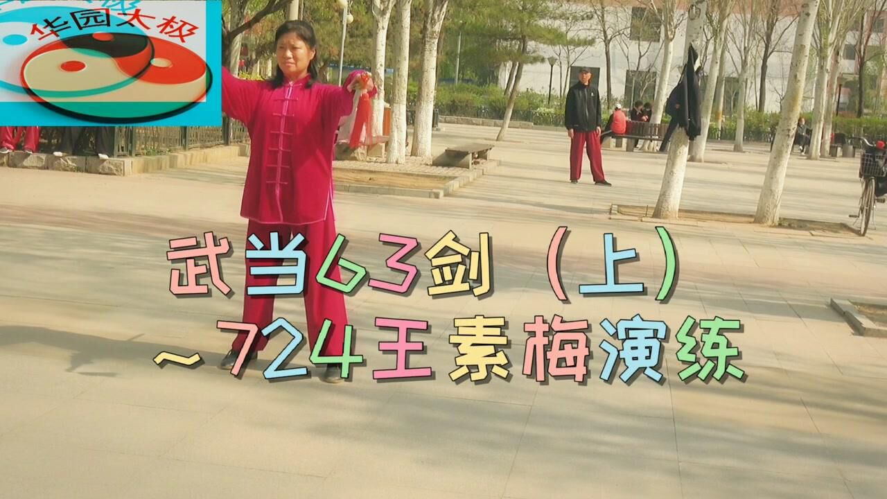 武当63剑(上～724王素梅_腾讯视频