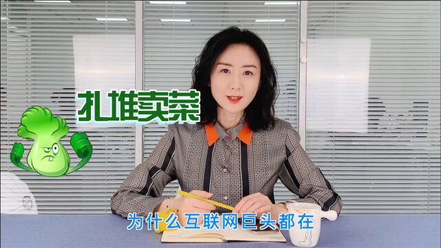 巨头血拼社区团购,葫芦里卖的什么菜?