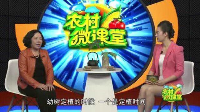 葡萄栽培技术5