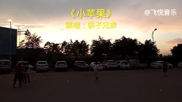 筷子兄弟的歌曲《小苹果》