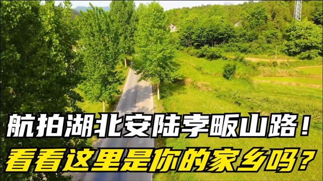 航拍湖北安陆孛畈山路!看看这里是你的家乡吗?