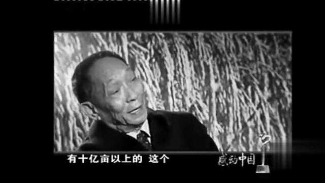 袁隆平老爷爷在2004年感动中国人物的获奖感言,感谢您让国人不再挨饿