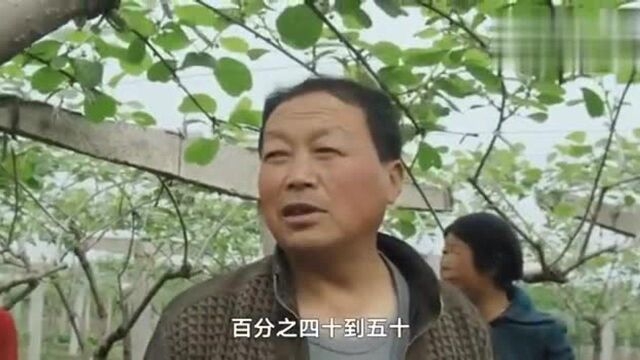 助推乡村振兴!陕西眉县成立“企业微信政务版大农圈平台”