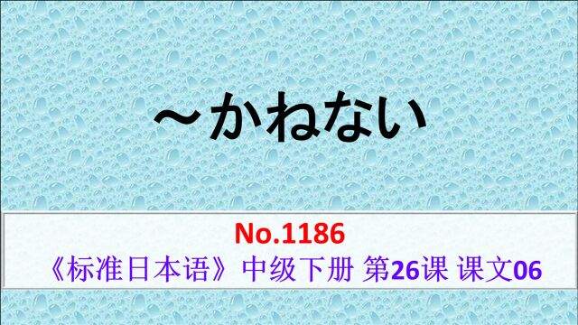 日语N2:发达国家、发展中国家