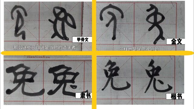 【汉字演变】“免”和“兔”的区别 #了不起的非遗#