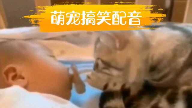 萌宠搞笑配音28